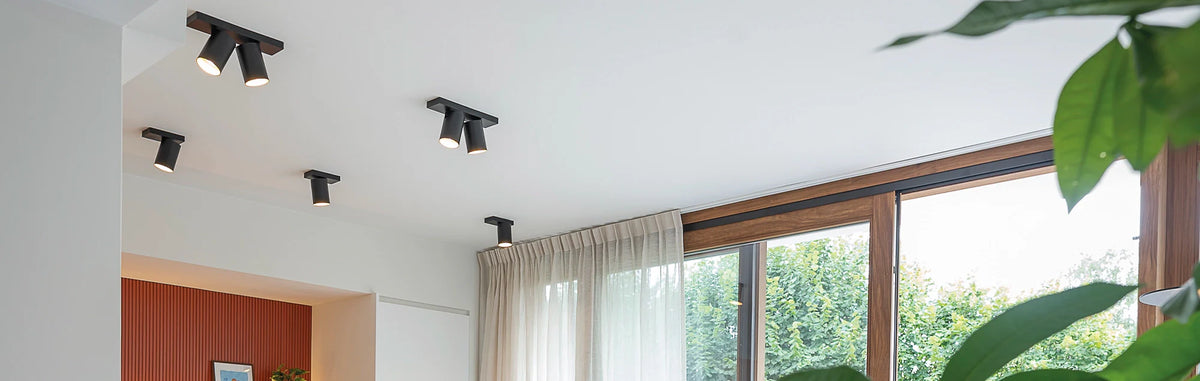 Ceiling lights black