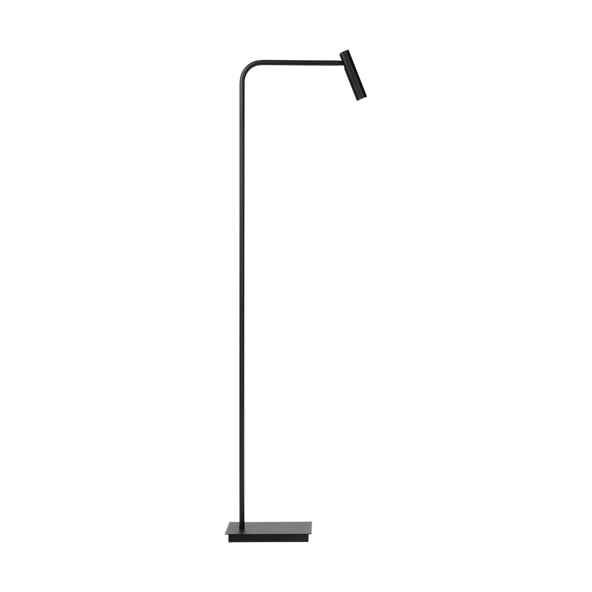 LED lights